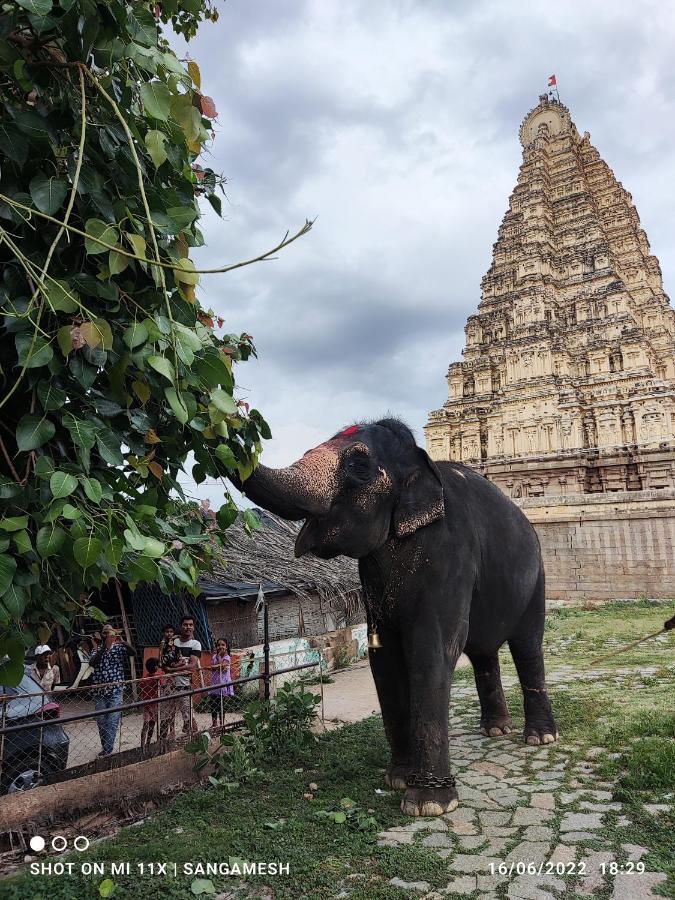 Temple View Guest House Hampi Zewnętrze zdjęcie