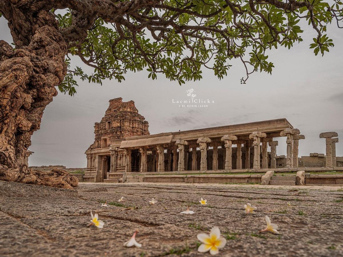 Temple View Guest House Hampi Zewnętrze zdjęcie